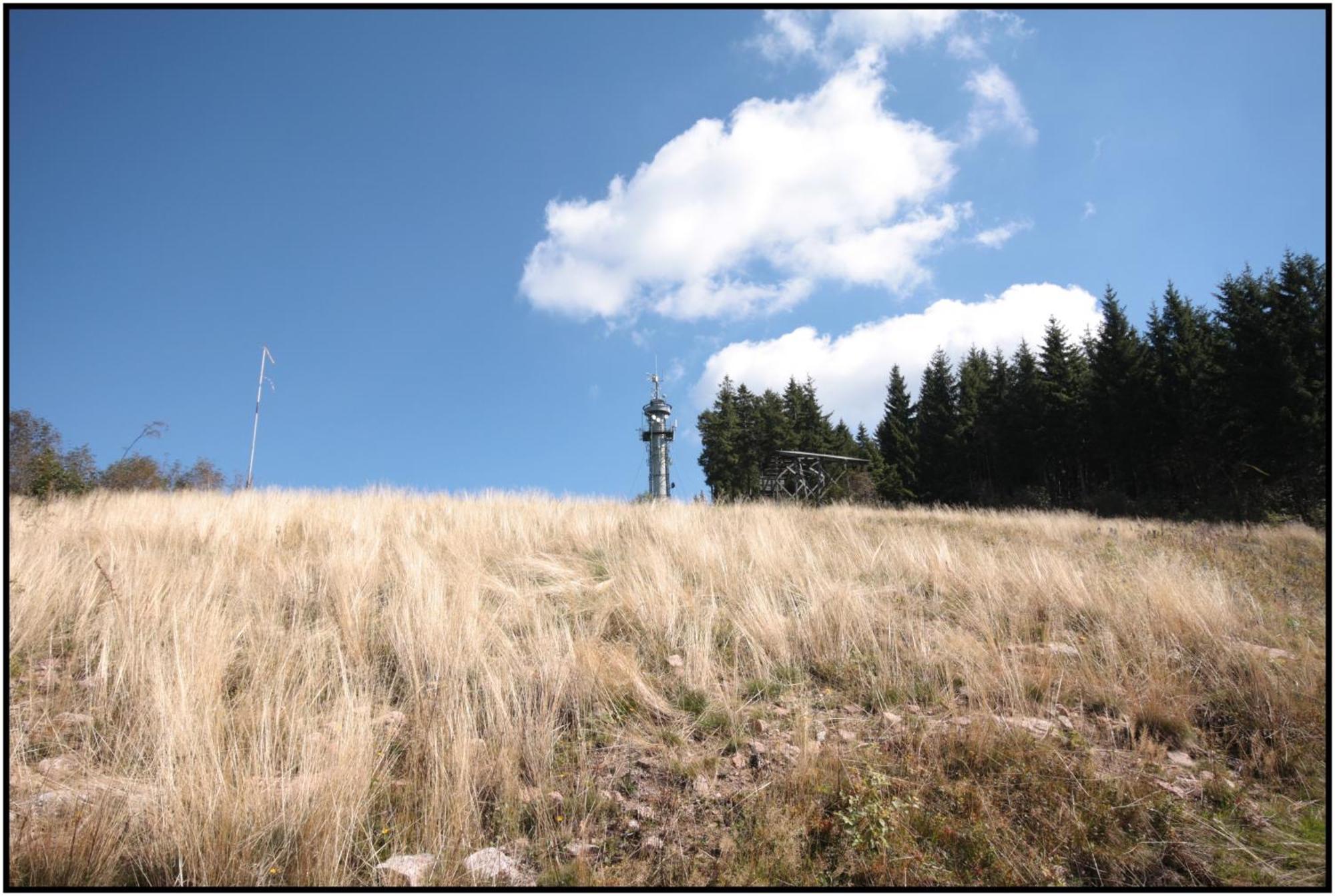 מלון פלדברג Pop-Up Stuub Feldberg מראה חיצוני תמונה